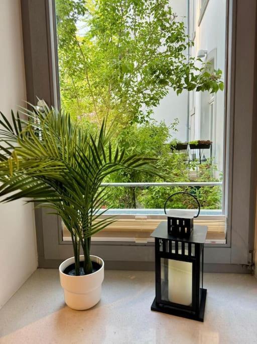 Gemuetliches Apartment Im Herzen Detmolds エクステリア 写真